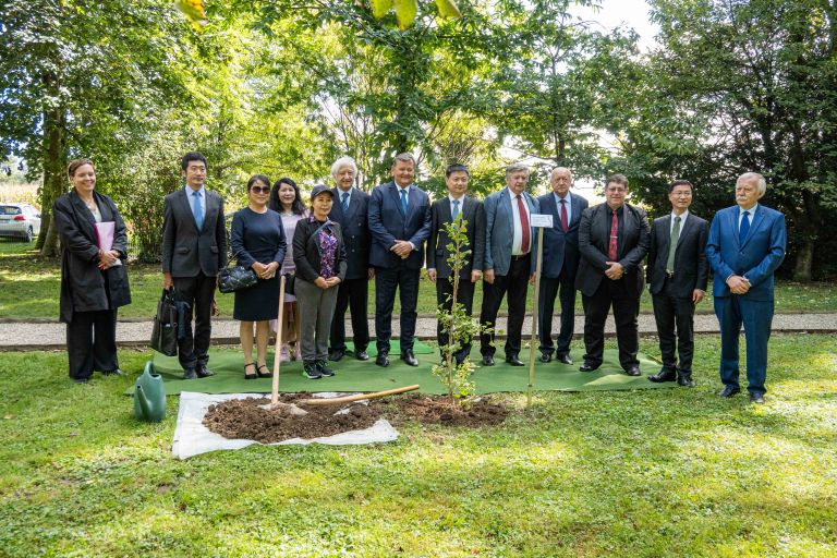 ginko-miru, vrt-spominov-in-tovaristva, petanjci, ustanova-dr-siftarjeva-fundacija, kitajska