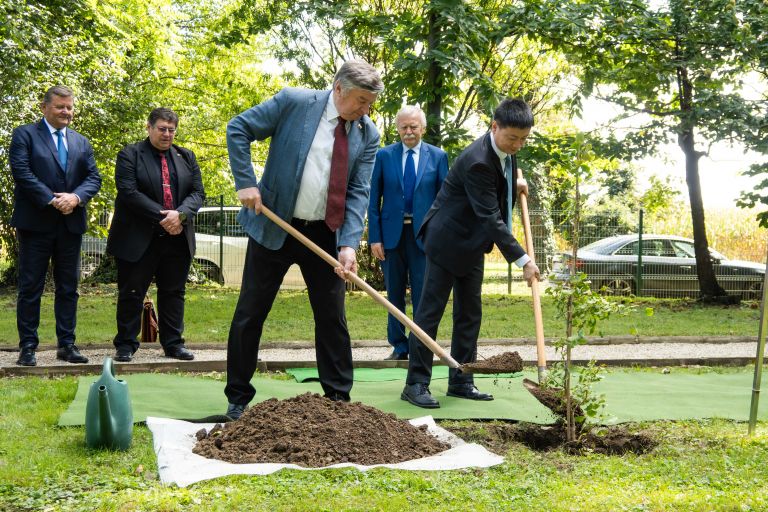 ginko-miru, vrt-spominov-in-tovaristva, petanjci, ustanova-dr-siftarjeva-fundacija, kitajska