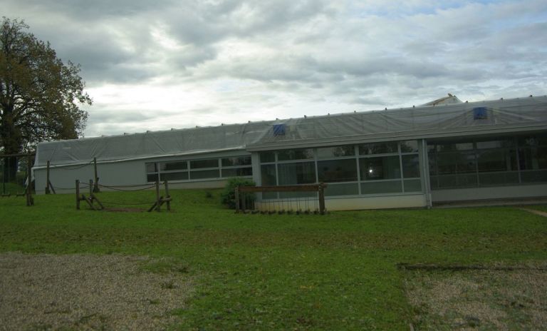neurje, novo-mesto