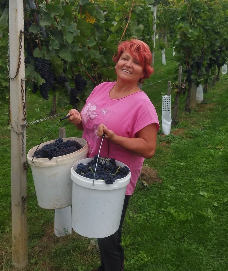 natalija kolsek.jpg