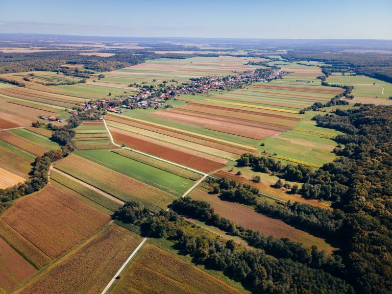 simbolična, gozd, dron, prekmurje, narava, podeželje, kobilje