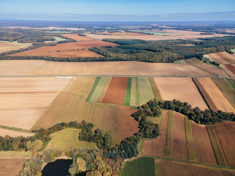 simbolična, gozd, dron, prekmurje, narava, podeželje