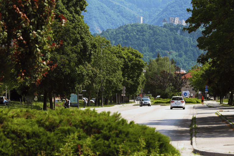 Mestna občina Celje