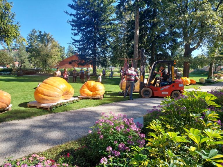 v-mozirskem-gaju-se-je-zacela-tradicionalna-razstava-buc-velikank-in-jesenskega-cvetja
