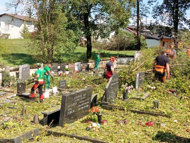 d39_neurjesmihel.jpg