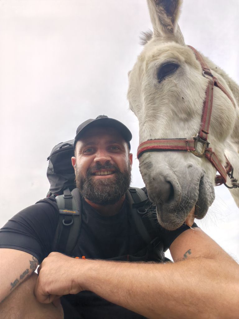 camino