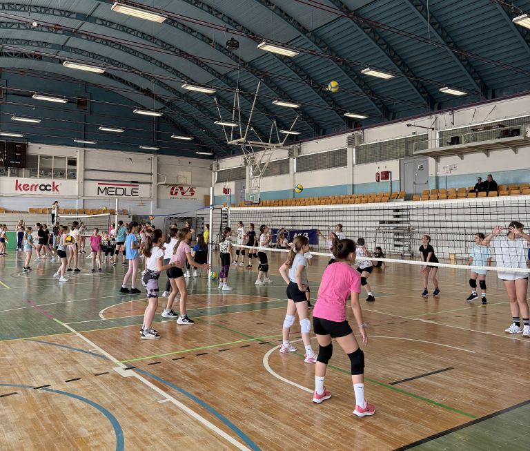tpv-volley-novo-mesto
