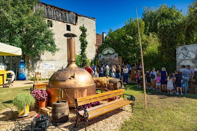 GustFest_Lasko_20_9_2025_foto_Nik_Jarh_47.jpg