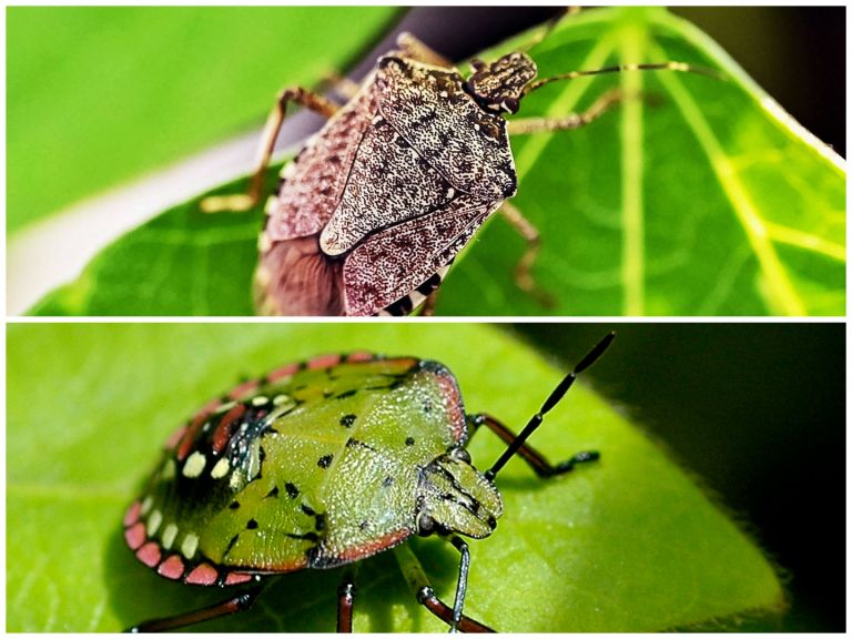 photo-collage.png (5).png