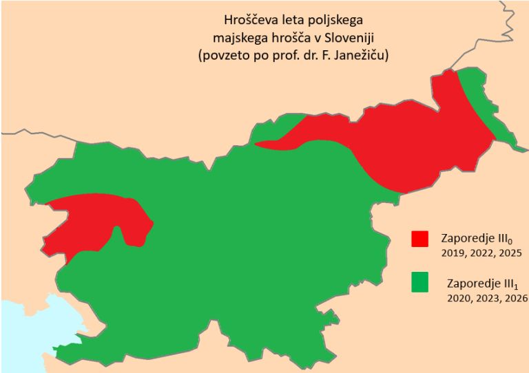 hroščeva leta, majski hrošč