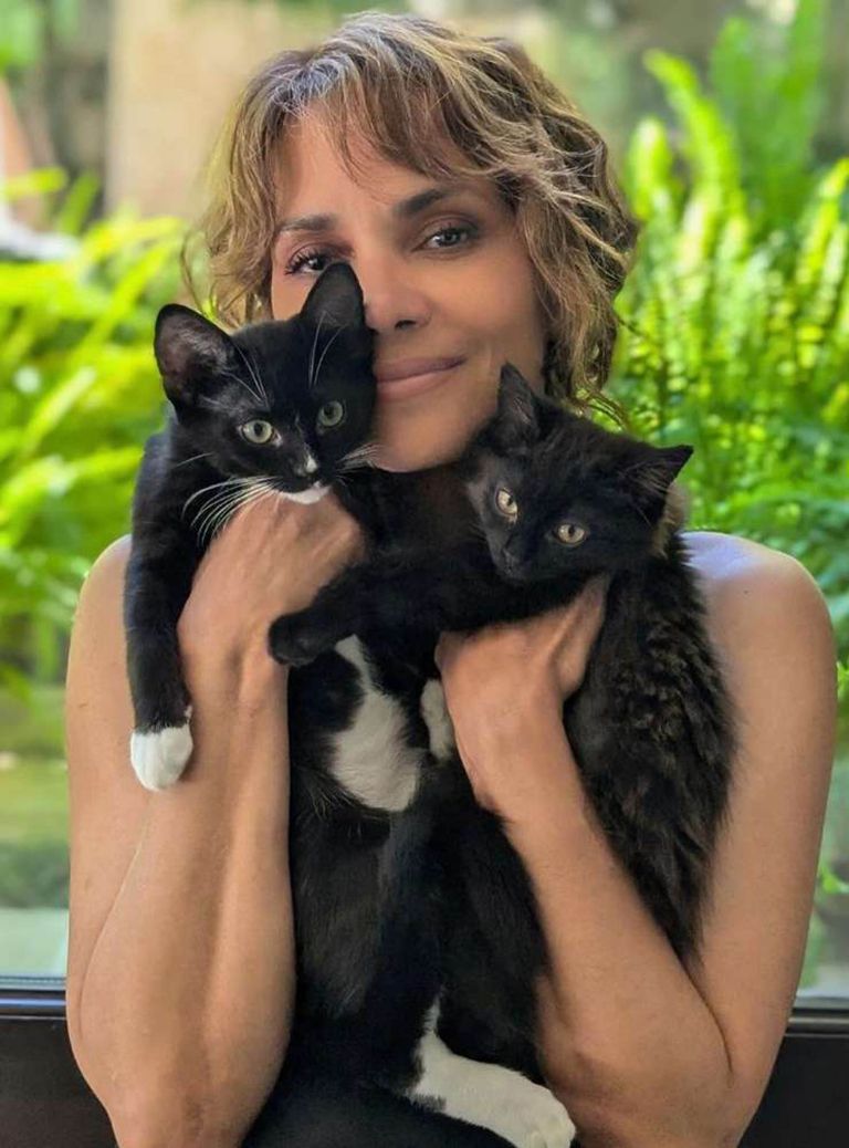 halle berry 3.jpg