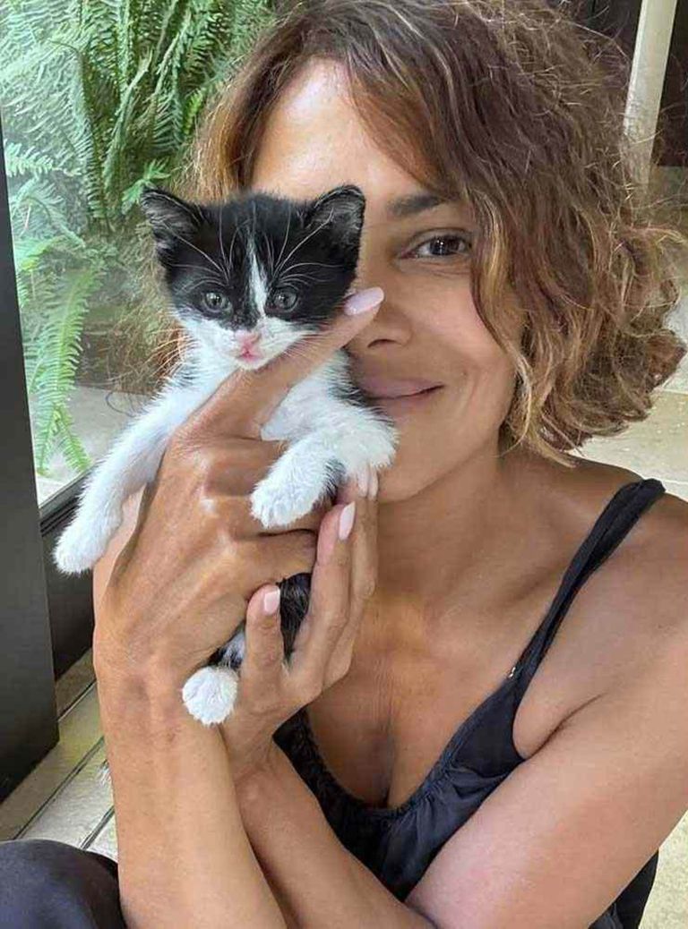 halle berry 1.jpg