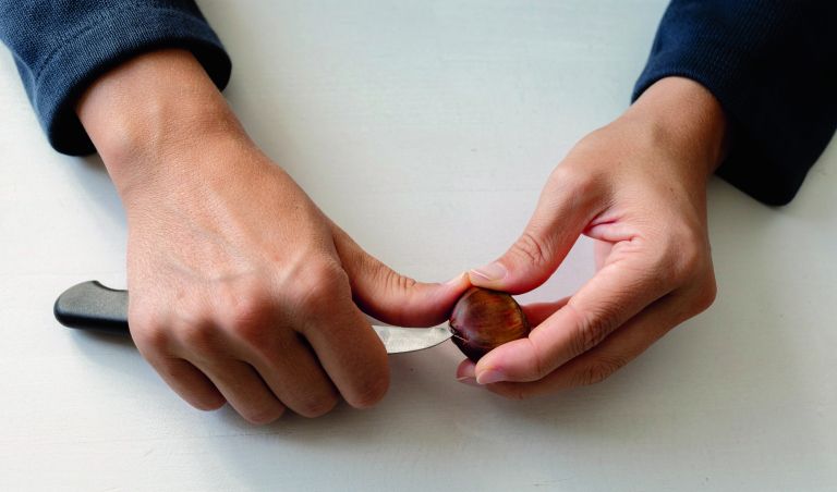 Zarezovanje kostanja