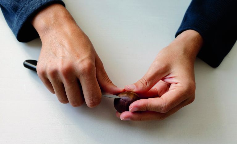 Zarezovanje kostanja_3