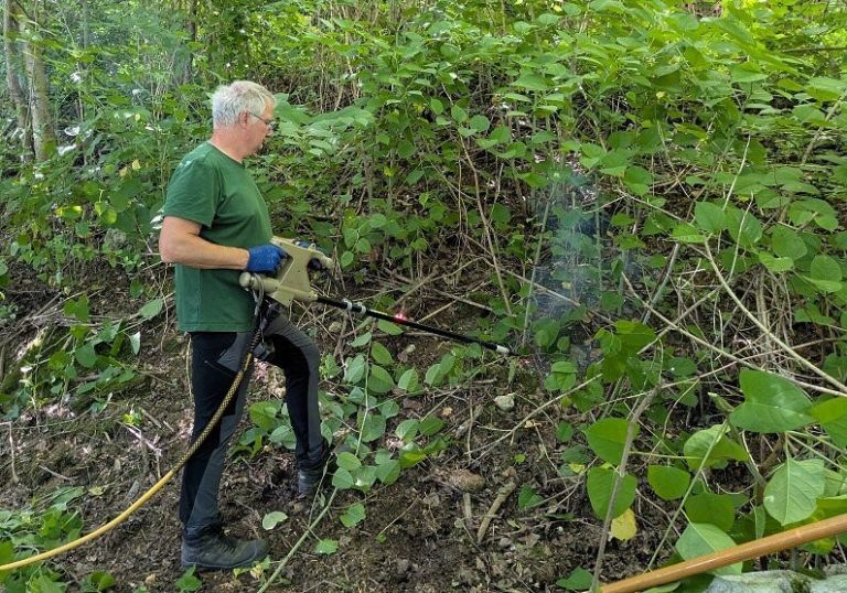 participativni-proracun, mo-novo-mesto