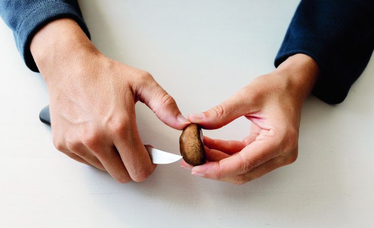 Zarezovanje kostanja_1