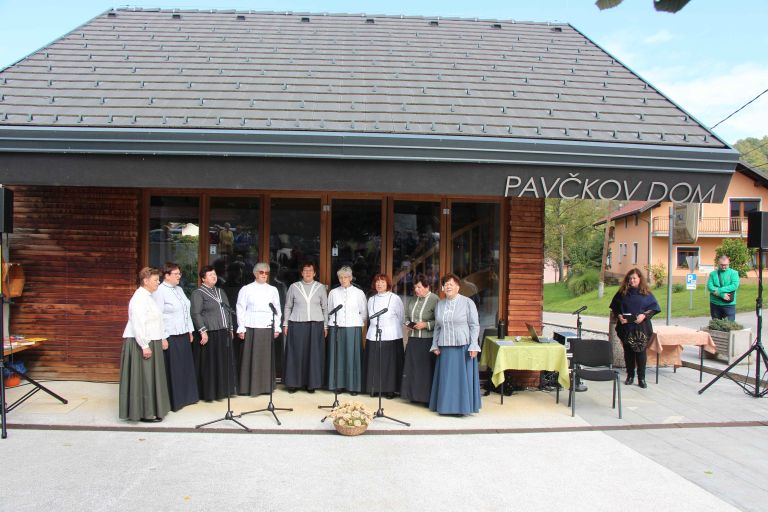 pavckov-dom, sentjurij-na-dolenjskem, knjigobeznica