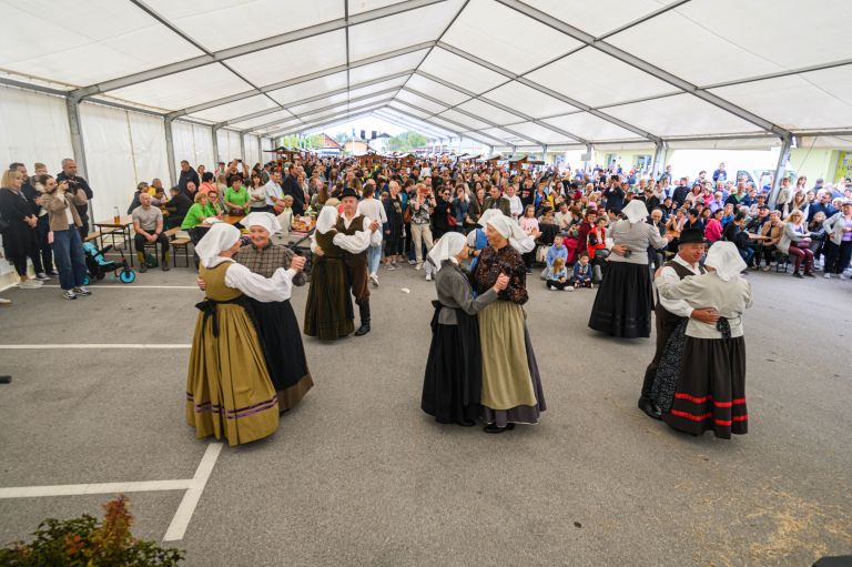 strudeljfest, ivancna-gorica
