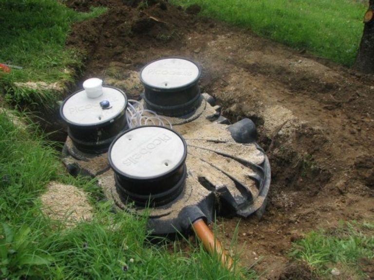 mčn.jpg