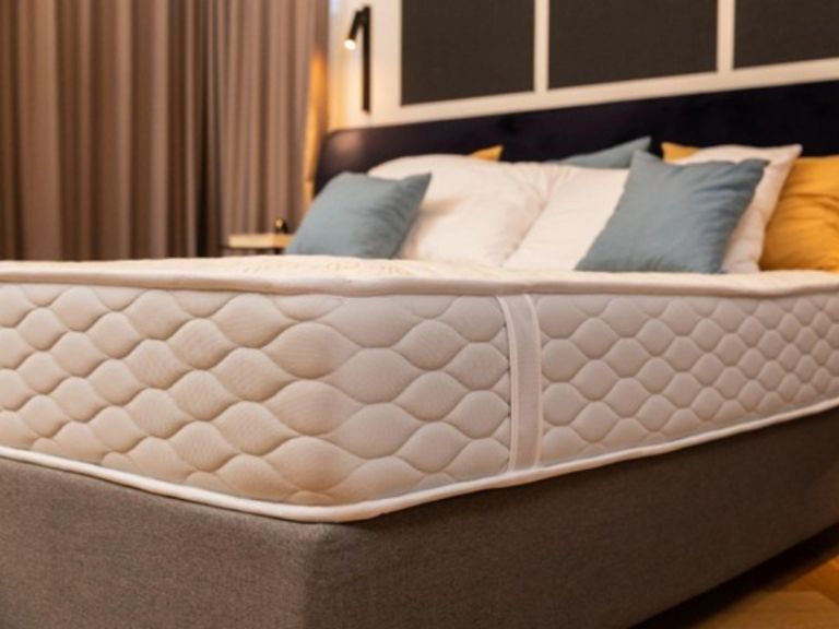 zepkaste-vzmetnice, hrbtenica, salon