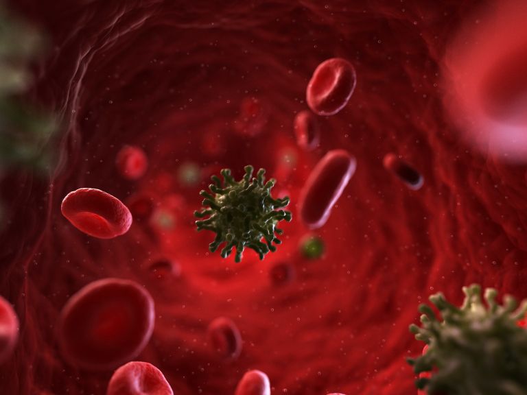 virus