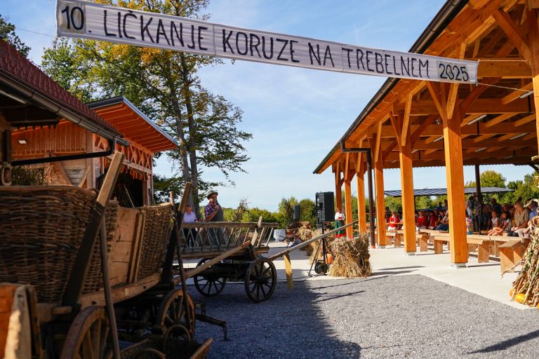 lickanje-koruze, trebelno