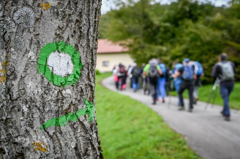 11-pohod-po-krozni-poti-prijetno-domace