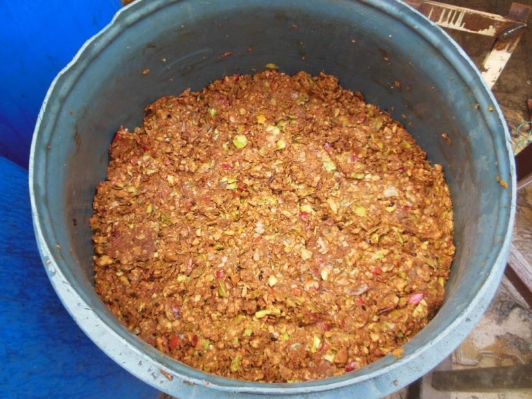 biodinamika11-okt24.JPG
