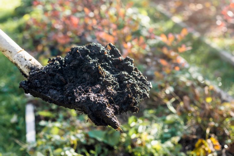 Aktualno naslovna-okt25.jpg