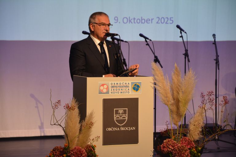 Marko Lotrič, predsednik Državnega sveta.JPG