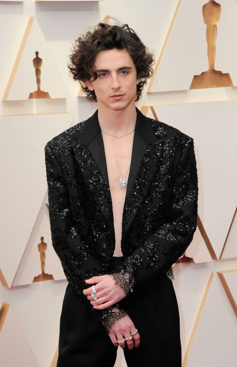 timothe chalamet 1.jpg