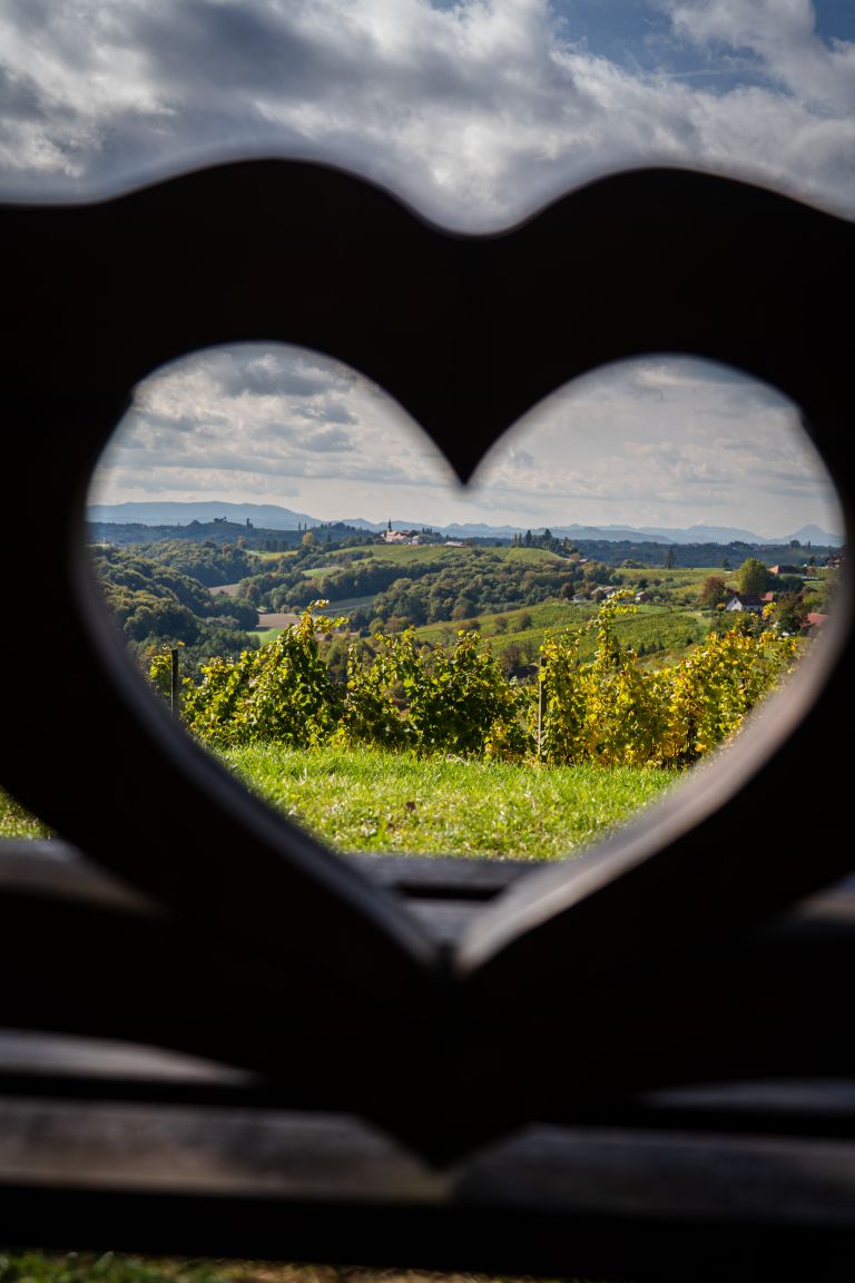 jeruzalem, vinogradi, narava, razgled, jesen
