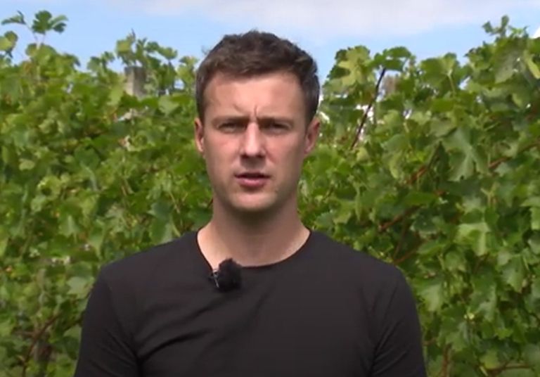 inovativni-mladi-kmet-2025, ales-slana, vina-tempus