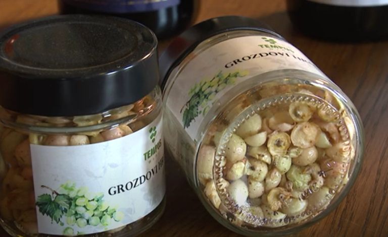 inovativni-mladi-kmet-2025, ales-slana, vina-tempus