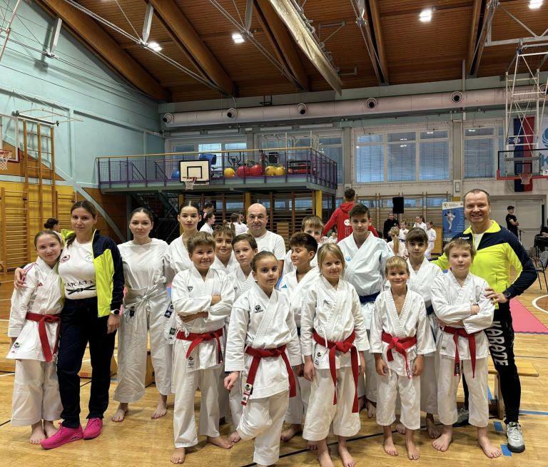 karate-klub-mirna-pec