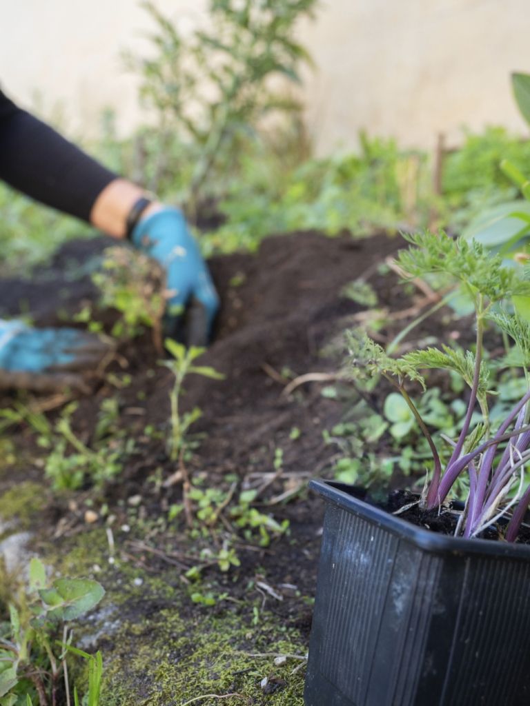 profimedia-1044679807 (1).jpg