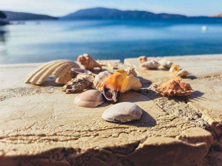 simbolična, školjke, školjka, plaža, morje, zaklad