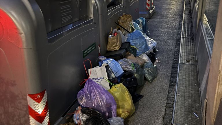 Gosposka ulica v Celju