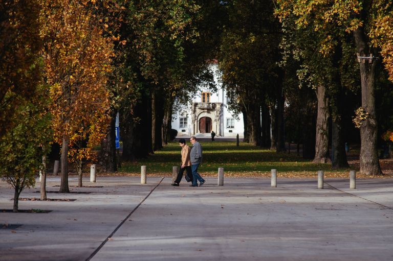 simbolična, park, drevored, jesen, narava, grad, upokojenci, starostniki, starejši
