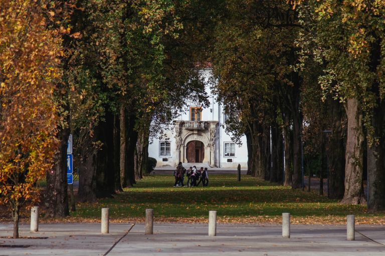 simbolična, park, drevored, jesen, narava, grad, mladi, otroci, vrtec, šolarji