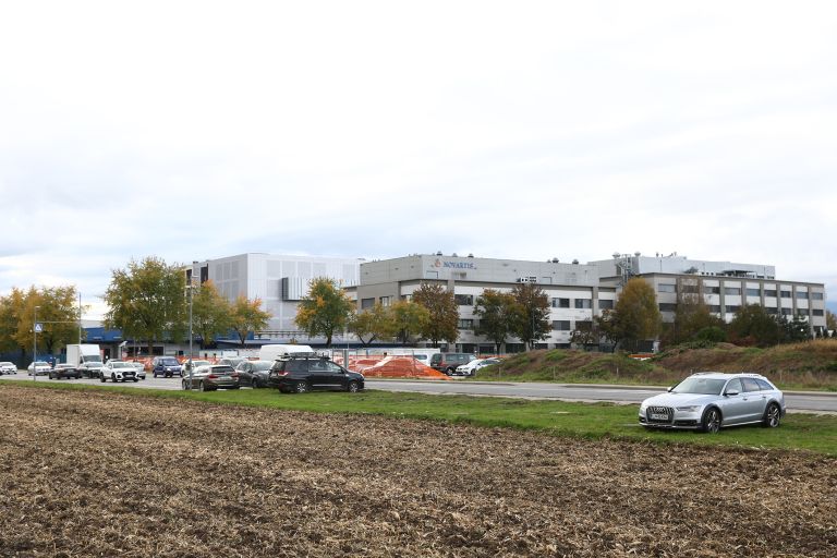 lek menges novartis-pl2.JPG