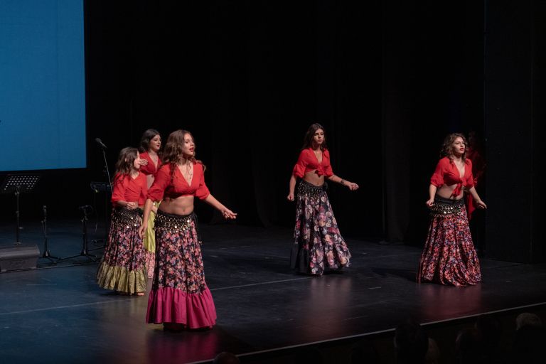 društvo-romani-union-murska-sobota