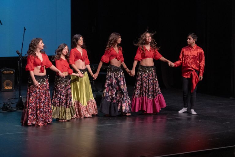 društvo-romani-union-murska-sobota