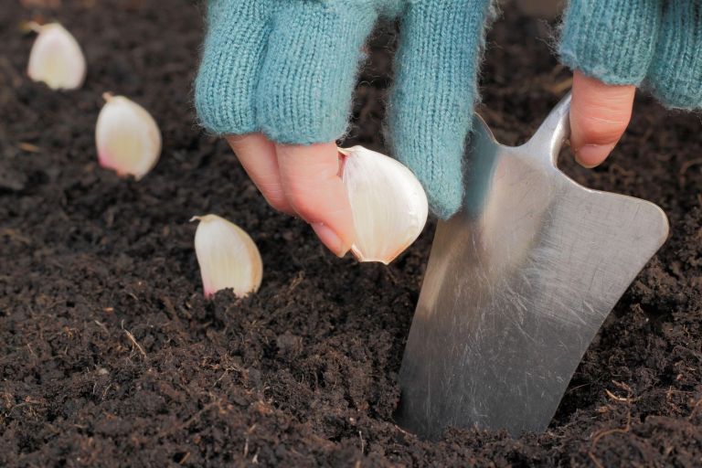 profimedia-0978386509 (1).jpg