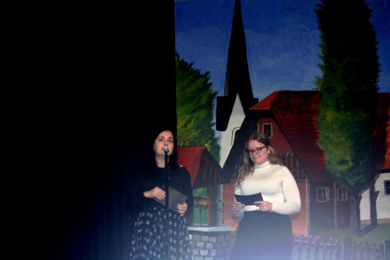 praznik-obcine-brezice, tradicionalna-prireditev-dobova-se-predstavi-2025