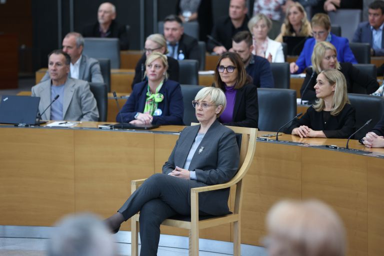 dz pirc musar romi govor drzavni zbor parlament.jpg