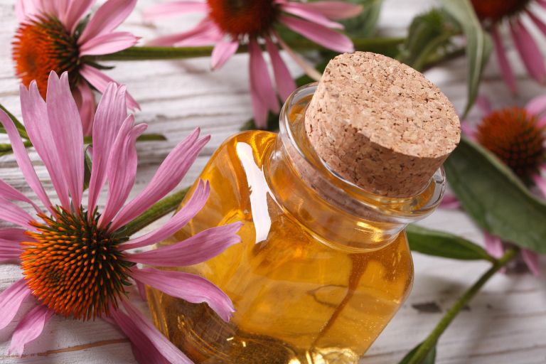 tinktura ameriškega slamnika