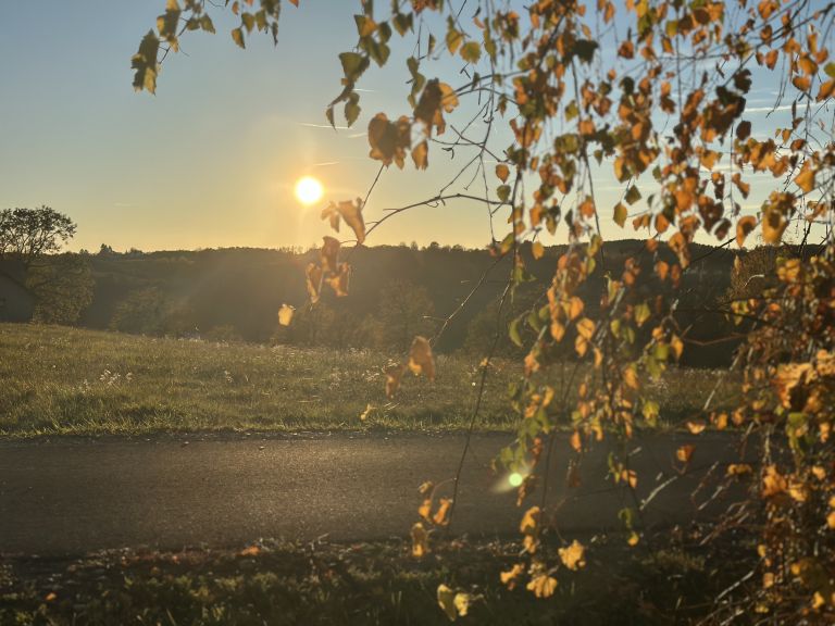 jesen, narava, listje, goričko, november