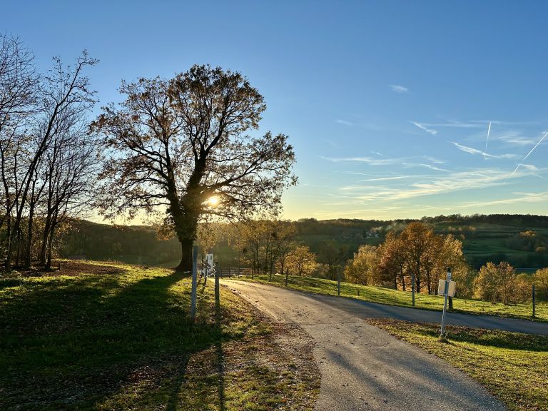 jesen, narava, listje, goričko, november