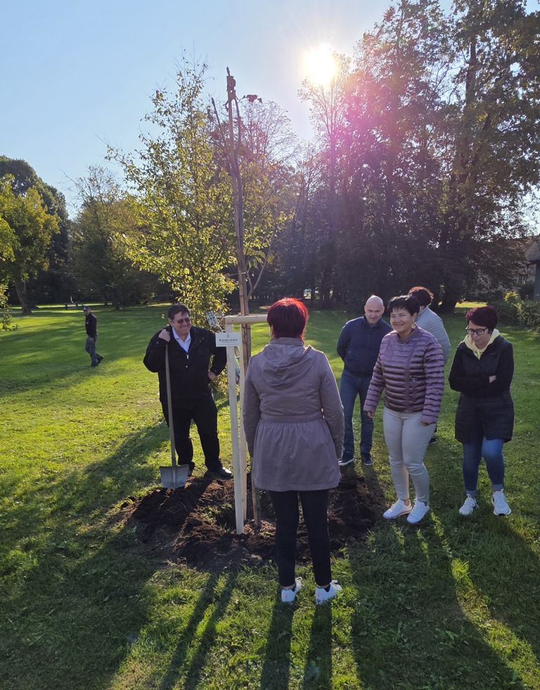 roznato-drevo, roznati-oktober, obcina-kobilje, obcina-tisina
